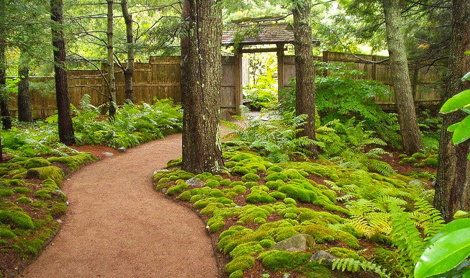 Asticou Azalea Garden, United States